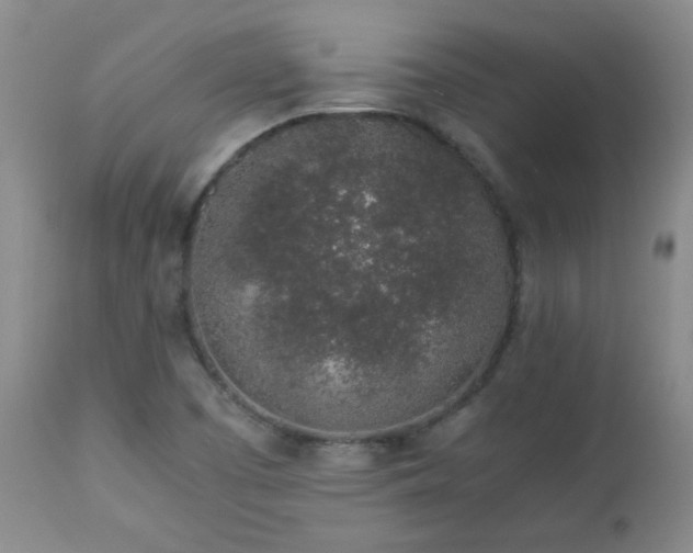 X0000112881457200908211439