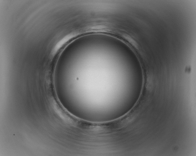 X0000112881458200908211439