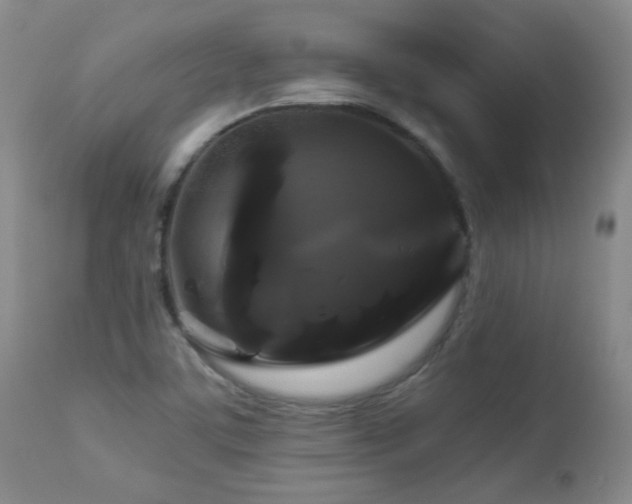 X0000112881459200908211439