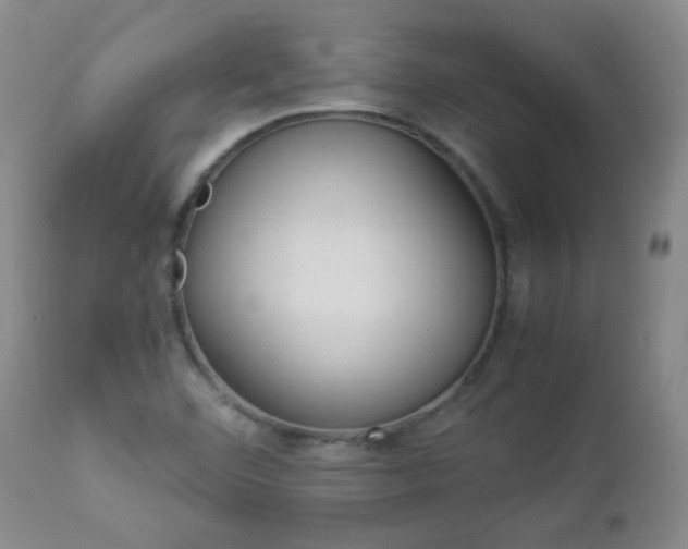 X0000112881460200908211439