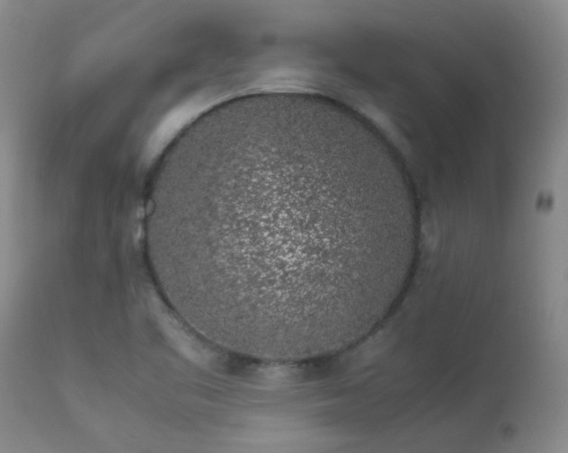 X0000112881461200908211439