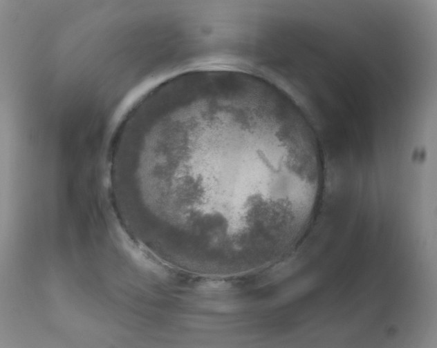 X0000112881462200908211439