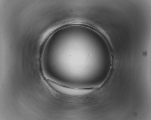 X0000112881464200908211439