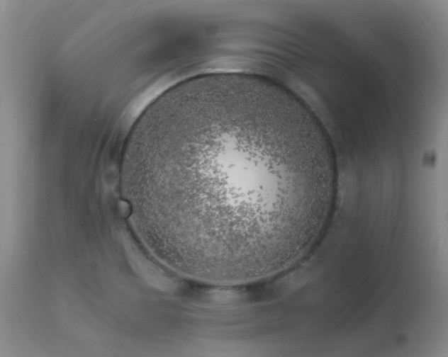 X0000112881465200908211439