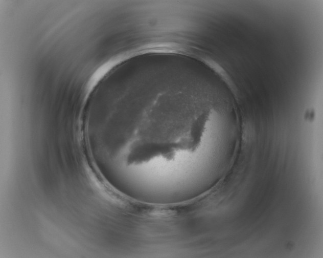 X0000112881466200908211439