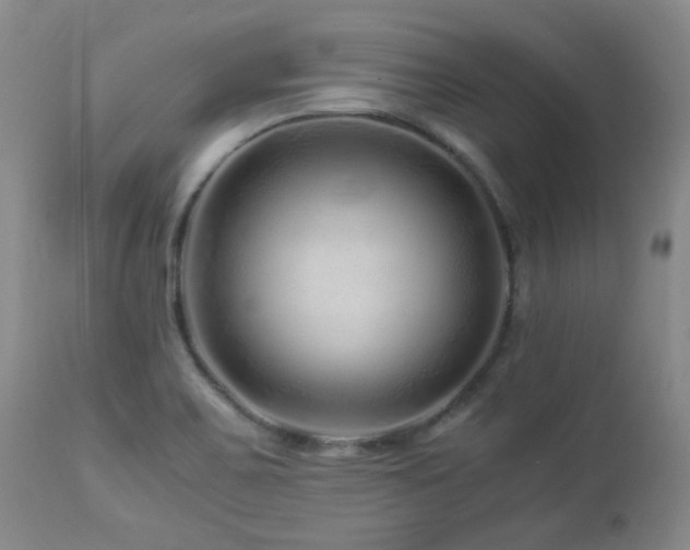 X0000112881467200908211438