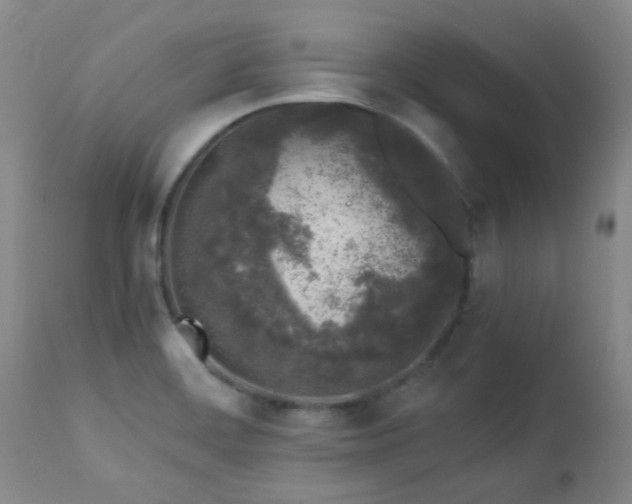 X0000112881468200908211438