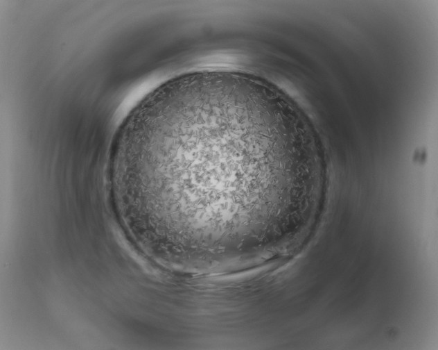 X0000112881469200908211438