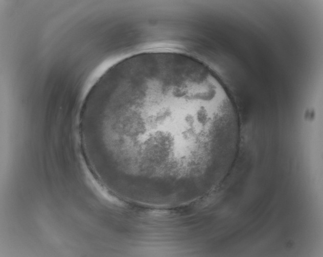 X0000112881470200908211438