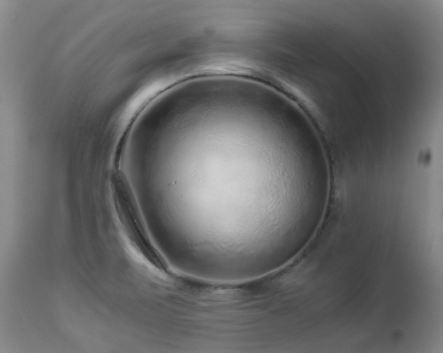 X0000112881471200908211438