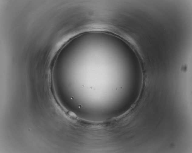 X0000112881472200908211438