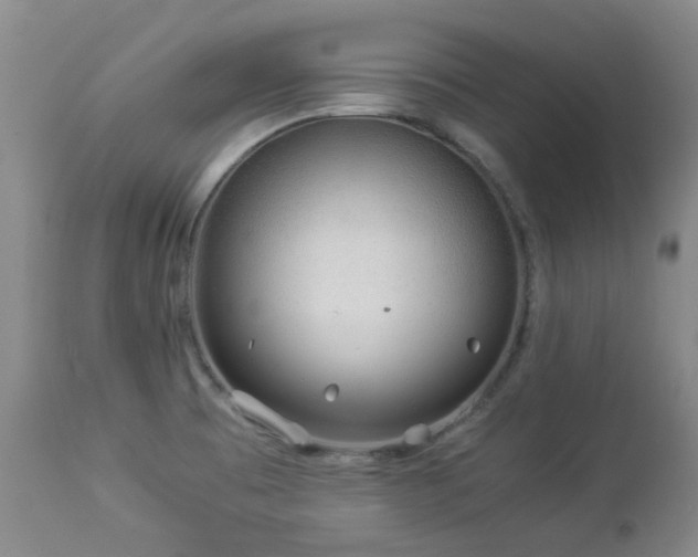 X0000112881473200908211438