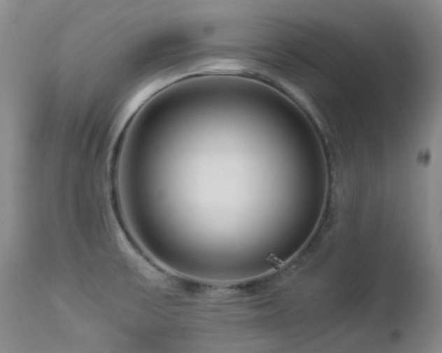 X0000112881475200908211438