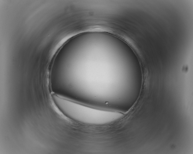 X0000112881476200908211438