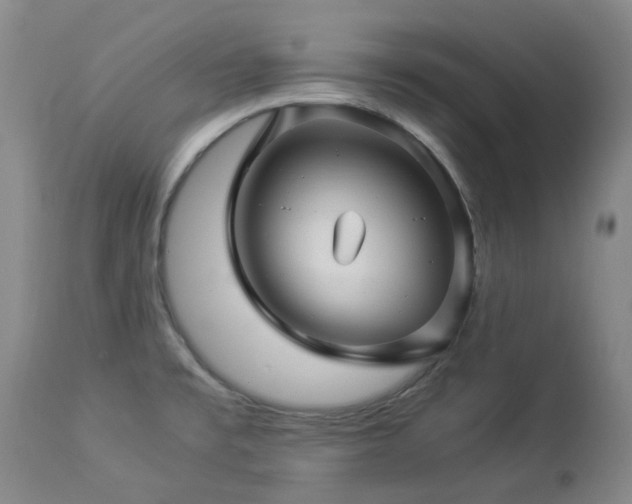 X0000112881477200908211438