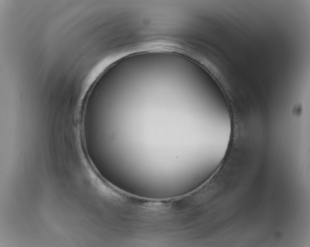 X0000112881478200908211438