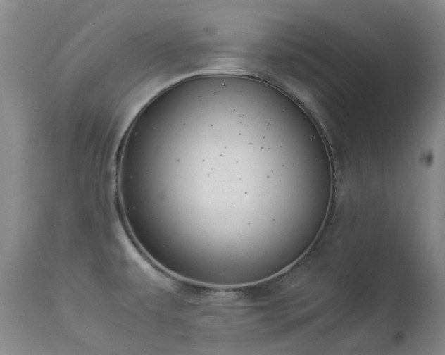 X0000112881479200908211438