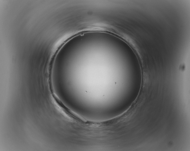 X0000112881480200908211438