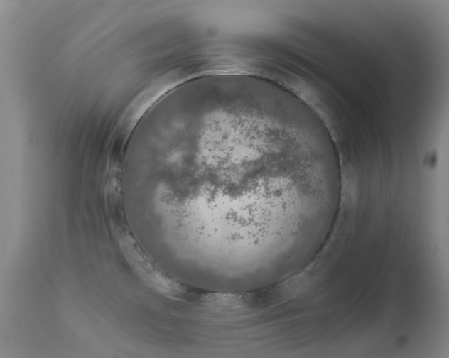 X0000112881481200908211438