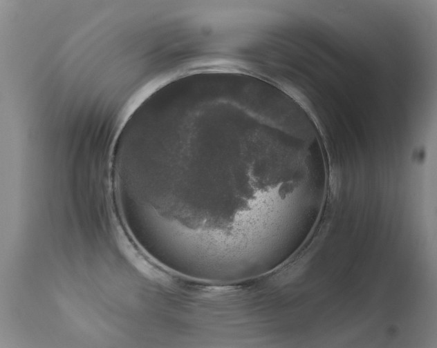 X0000112881482200908211438