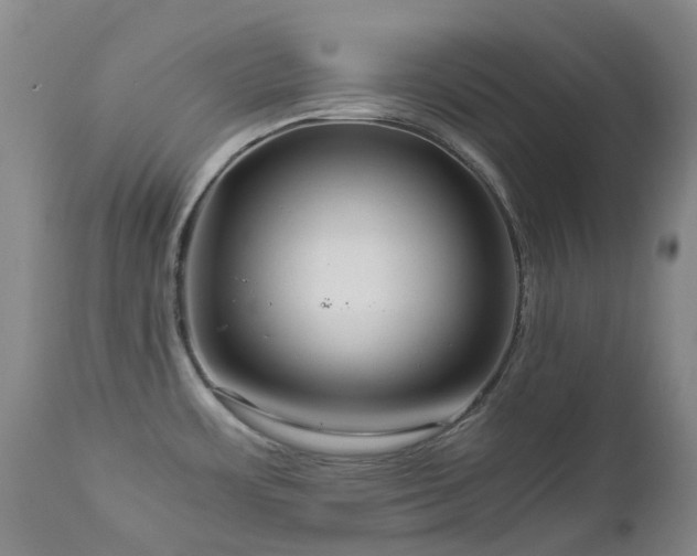 X0000112881483200908211438