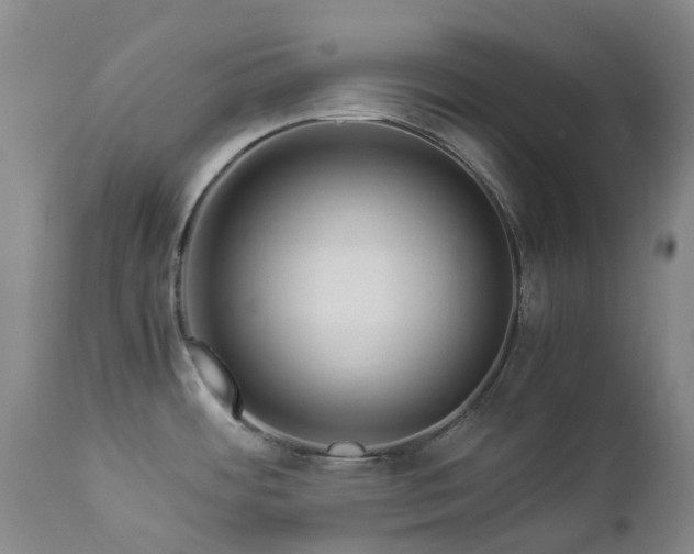 X0000112881484200908211438