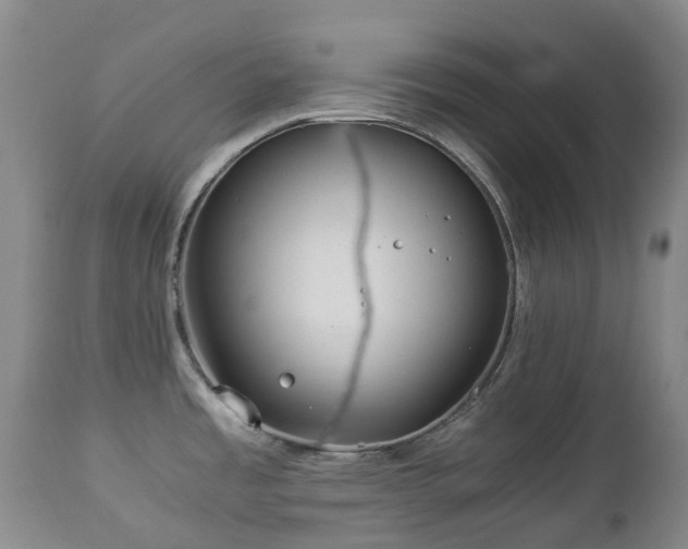 X0000112881485200908211438