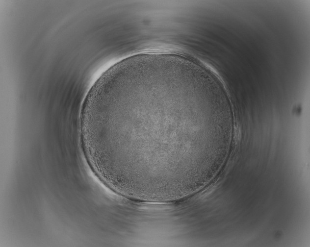 X0000112881487200908211438