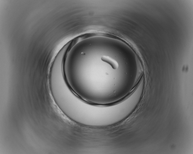 X0000112881488200908211438