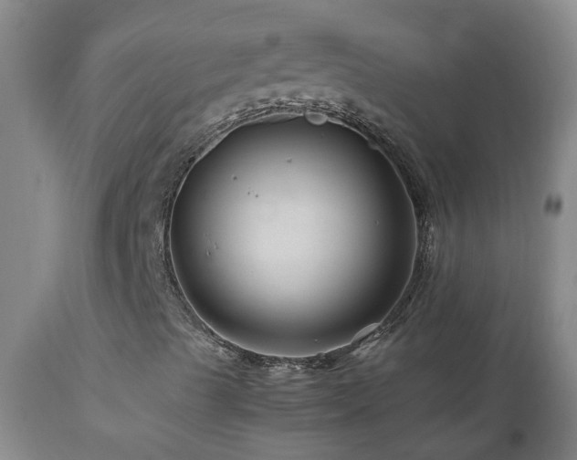 X0000112881489200908211437