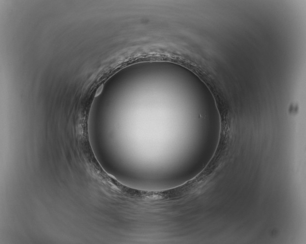 X0000112881490200908211437