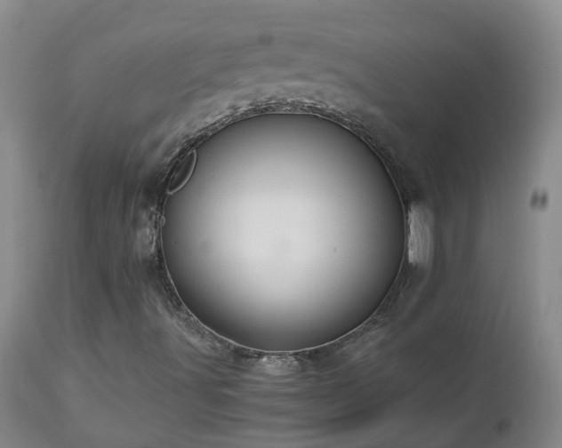 X0000112881491200908211437