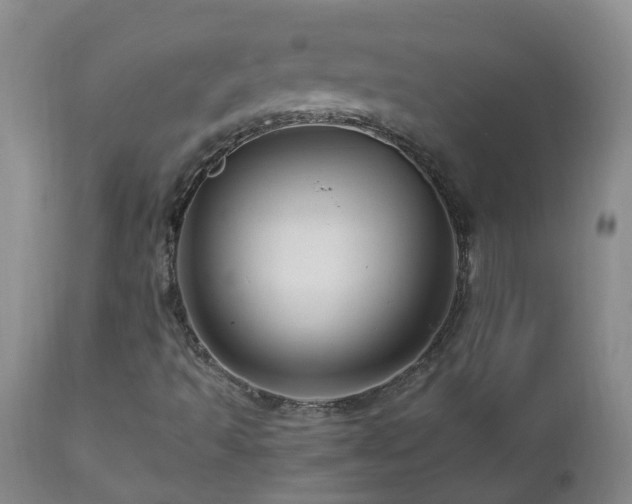 X0000112881493200908211437