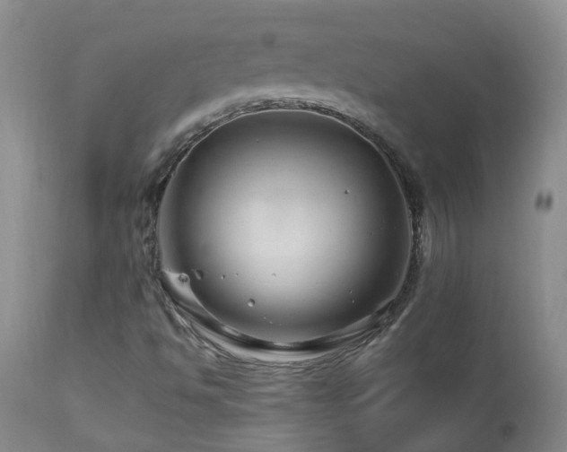 X0000112881494200908211437