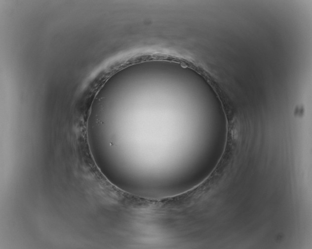 X0000112881495200908211437