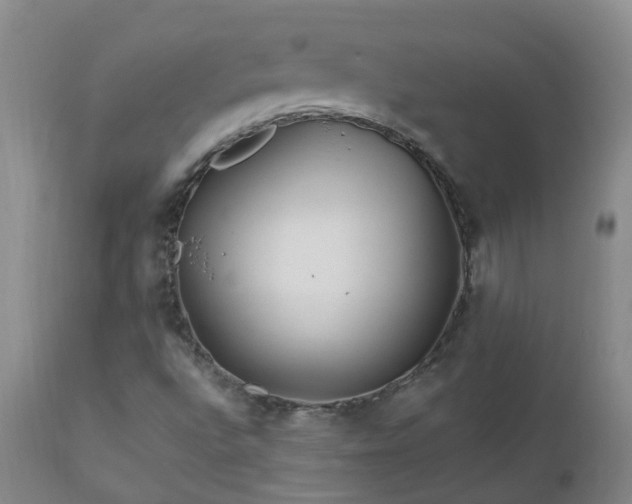 X0000112881496200908211437