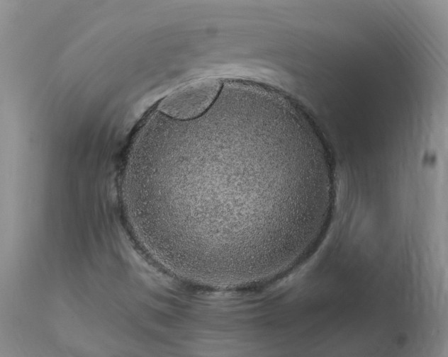 X0000112881497200908211437