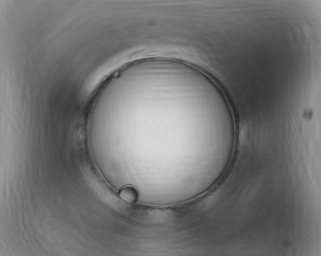 X0000112881498200908211437