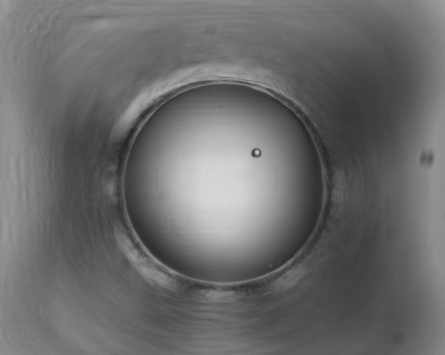 X0000112881499200908211437