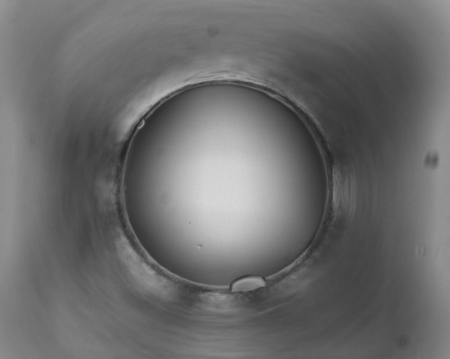 X0000112881500200908211437