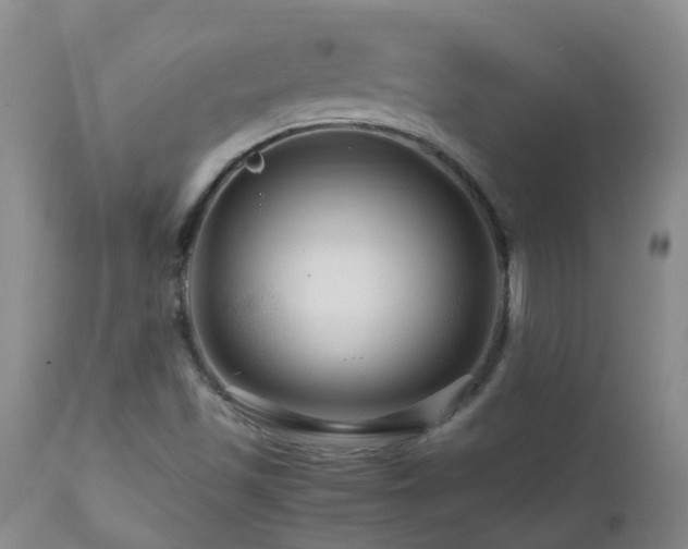 X0000112881501200908211437