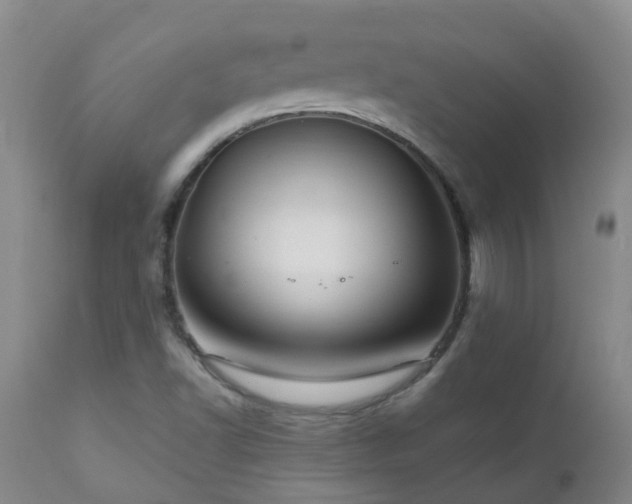 X0000112881502200908211437