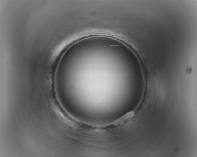 X0000112881503200908211437