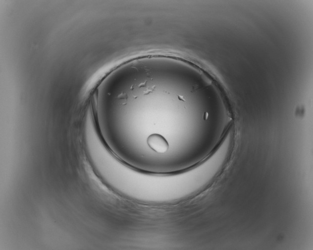 X0000112881504200908211437