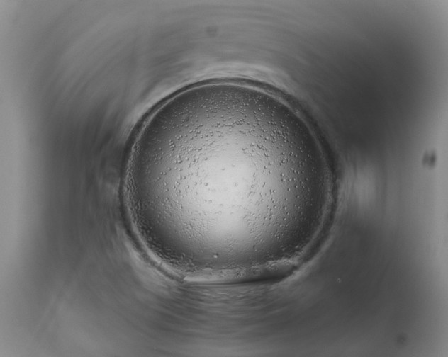 X0000112881505200908211438