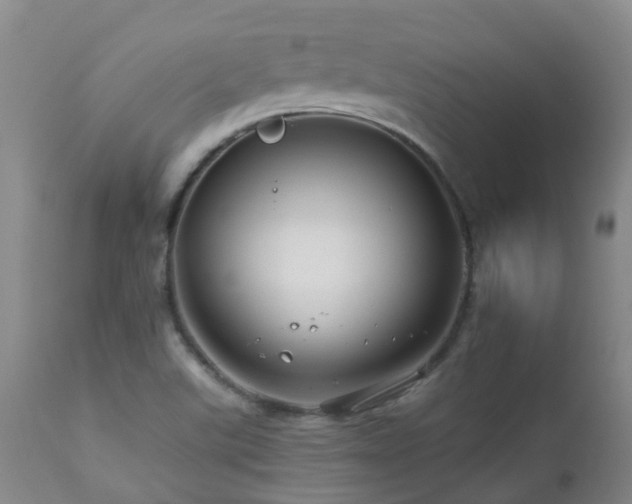 X0000112881507200908211438