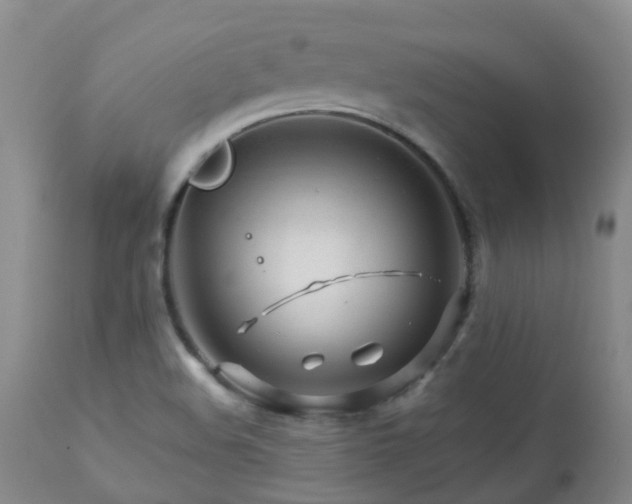 X0000112881508200908211438