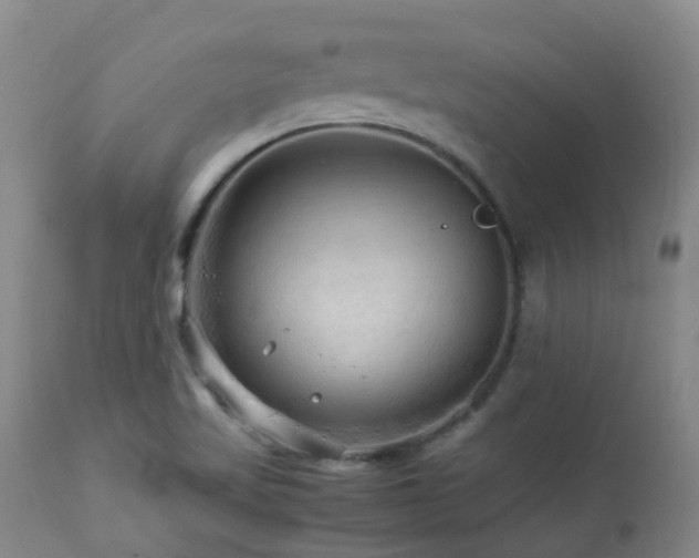 X0000112881509200908211438