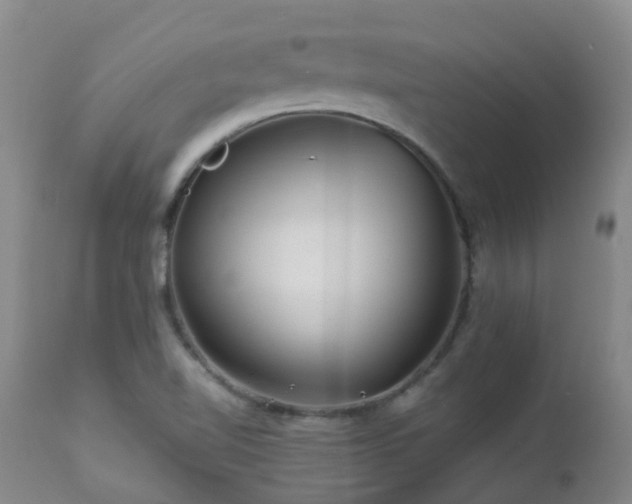 X0000112881510200908211438