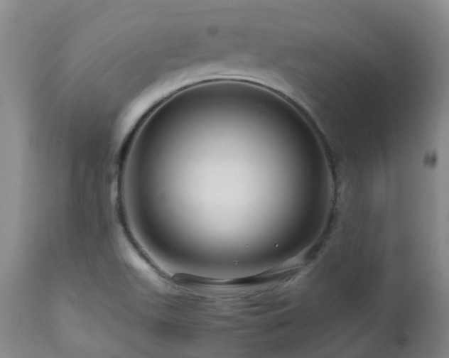 X0000112881511200908211438